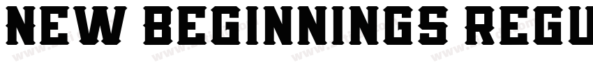 New Beginnings Regul字体转换